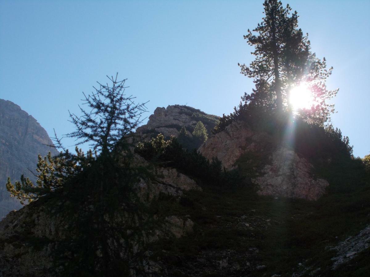 코멜리코 수페리오레 Balcone Sulle Dolomiti 아파트 외부 사진